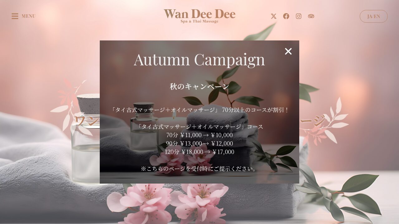 ワンディーディー